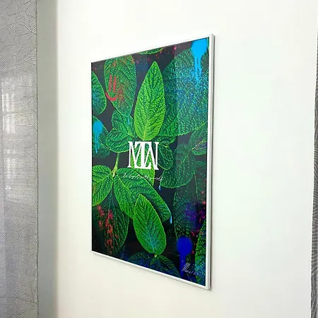 Santa Teresa E Comodo Torino