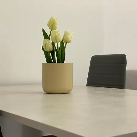 Santa Teresa E Comodo *