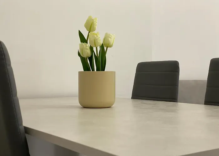 Santa Teresa E Comodo *